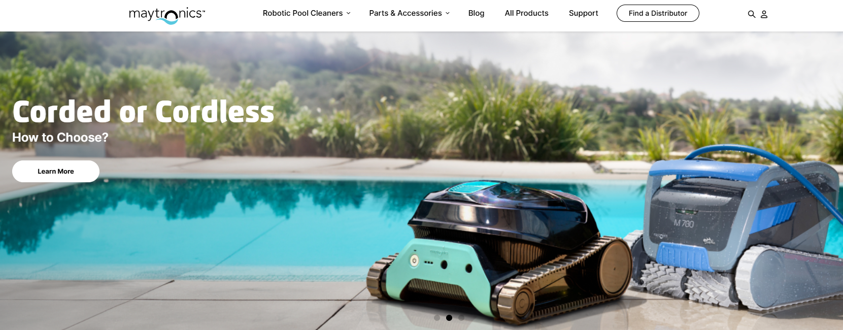 Delphin (Maytronics)